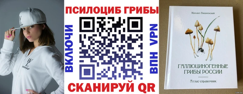 где купить наркоту  Астрахань  Псилоцибиновые грибы Magic Shrooms 